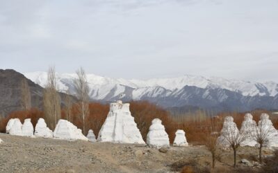 Local NGOs in Ladakh lay emphasis on restoration of ancient Stupas this World Heritage Day